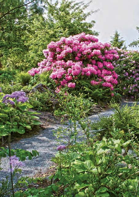 Ökologisch-Botanischer Garten