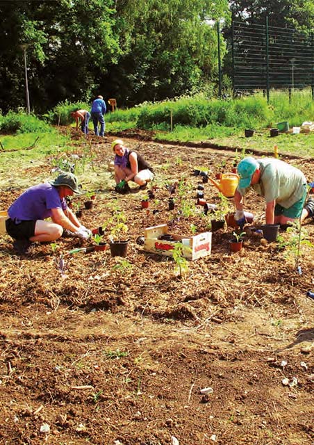 Urban Gardening