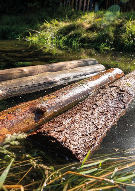 Holzstämme im Wasser